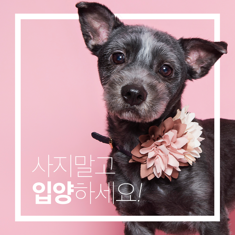 해피핸드 이미지