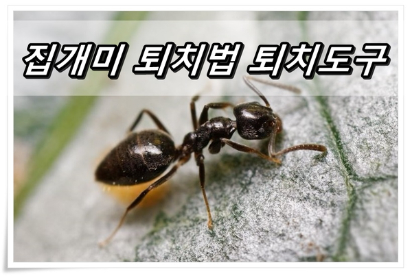 개미떡방앗간 이미지