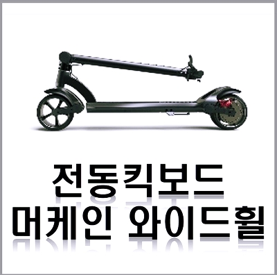 휠고고 이미지