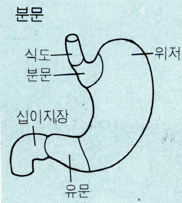 부영한의원 이미지