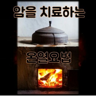 라파전위 이미지