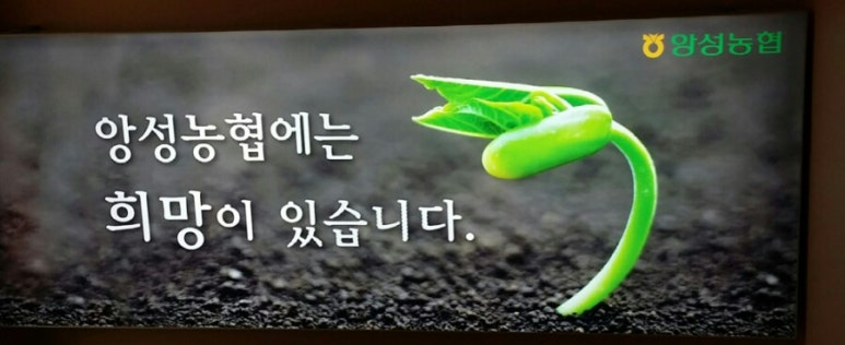 한티골마 이미지