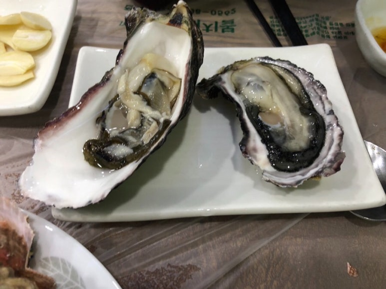 사계절식당 이미지