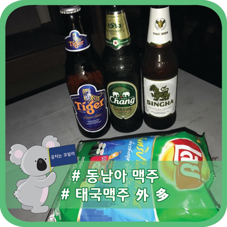코알라맥주 이미지