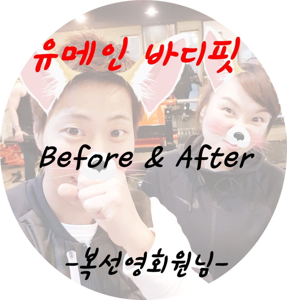 유메인바디핏 이미지