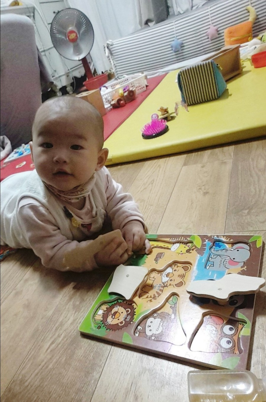 오감발달교육연구소 이미지