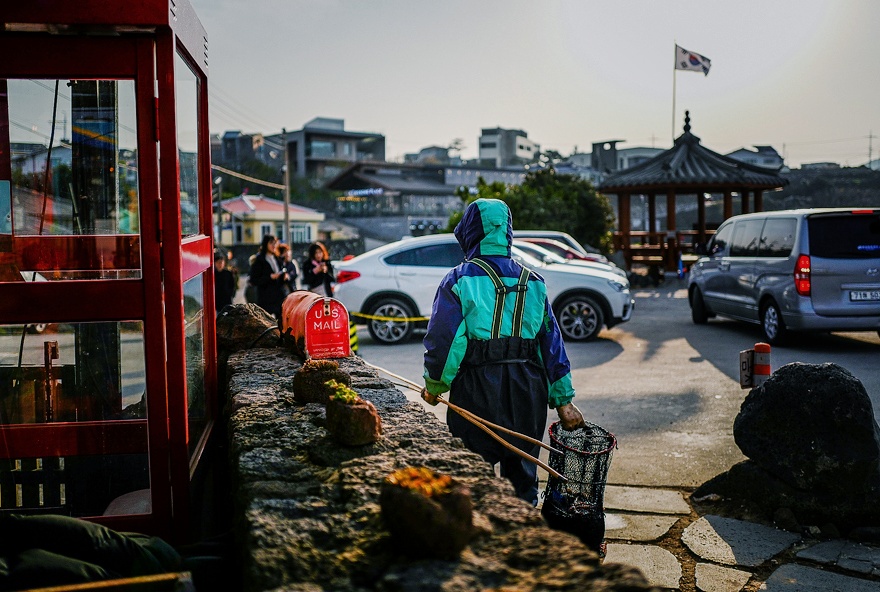 문어삼춘 이미지