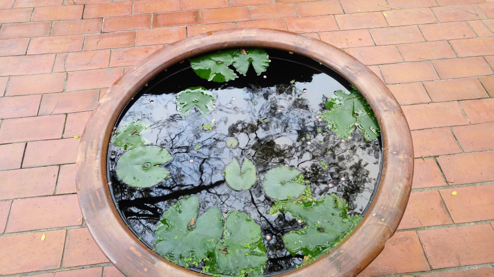 라이프더화원 이미지