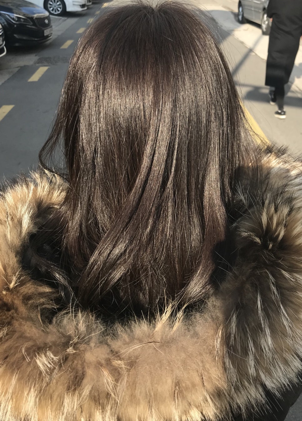 로이드밤 구서점 이미지