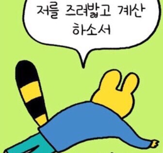 다이소홍천 이미지