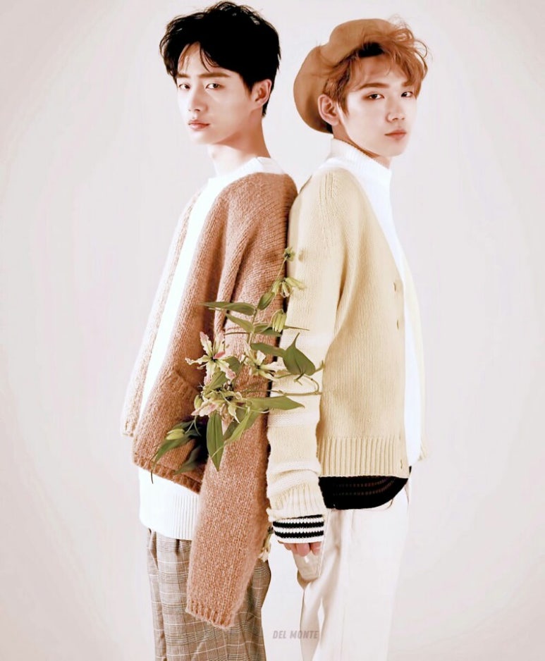 신나라 이미지