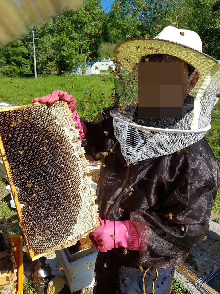 더밤농산 이미지