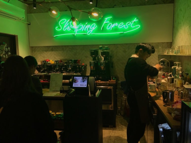 슬리핑포레스트 이미지