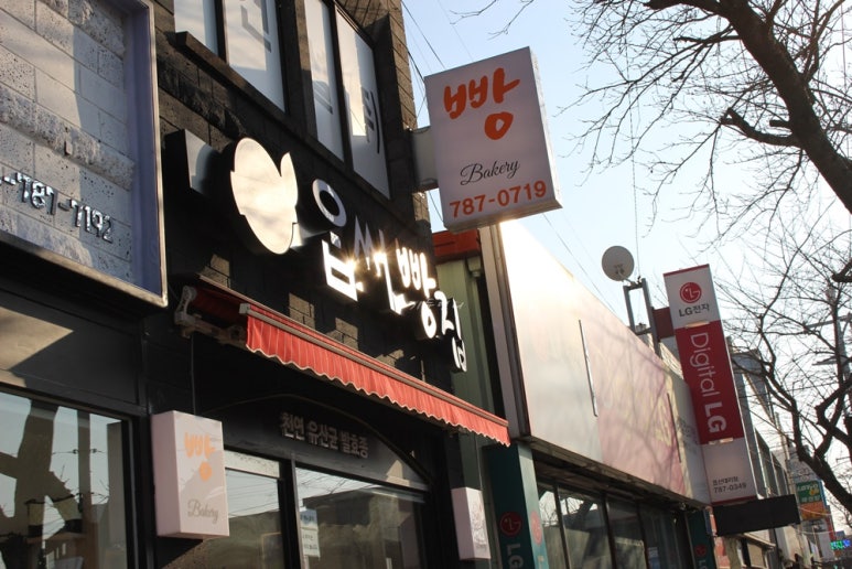 옵써빵집 이미지