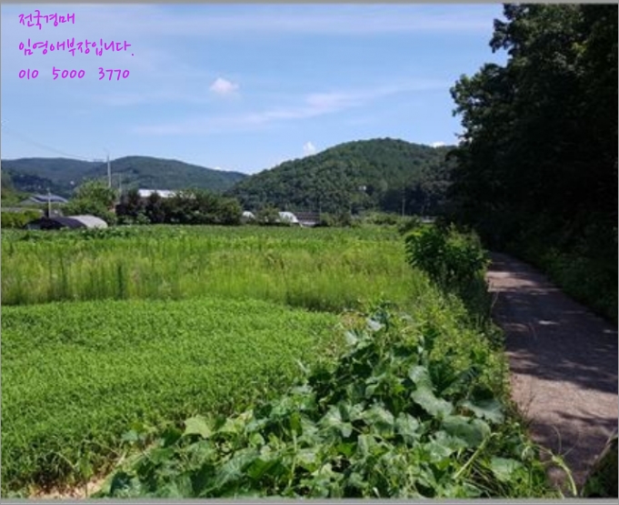 마시리 이미지