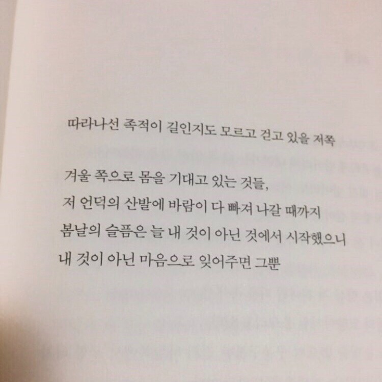 카페일루오고 이미지
