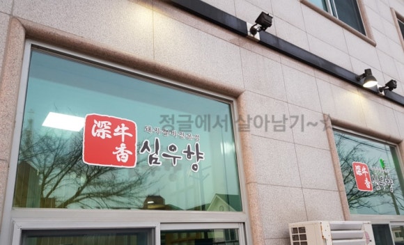 심우향 이미지