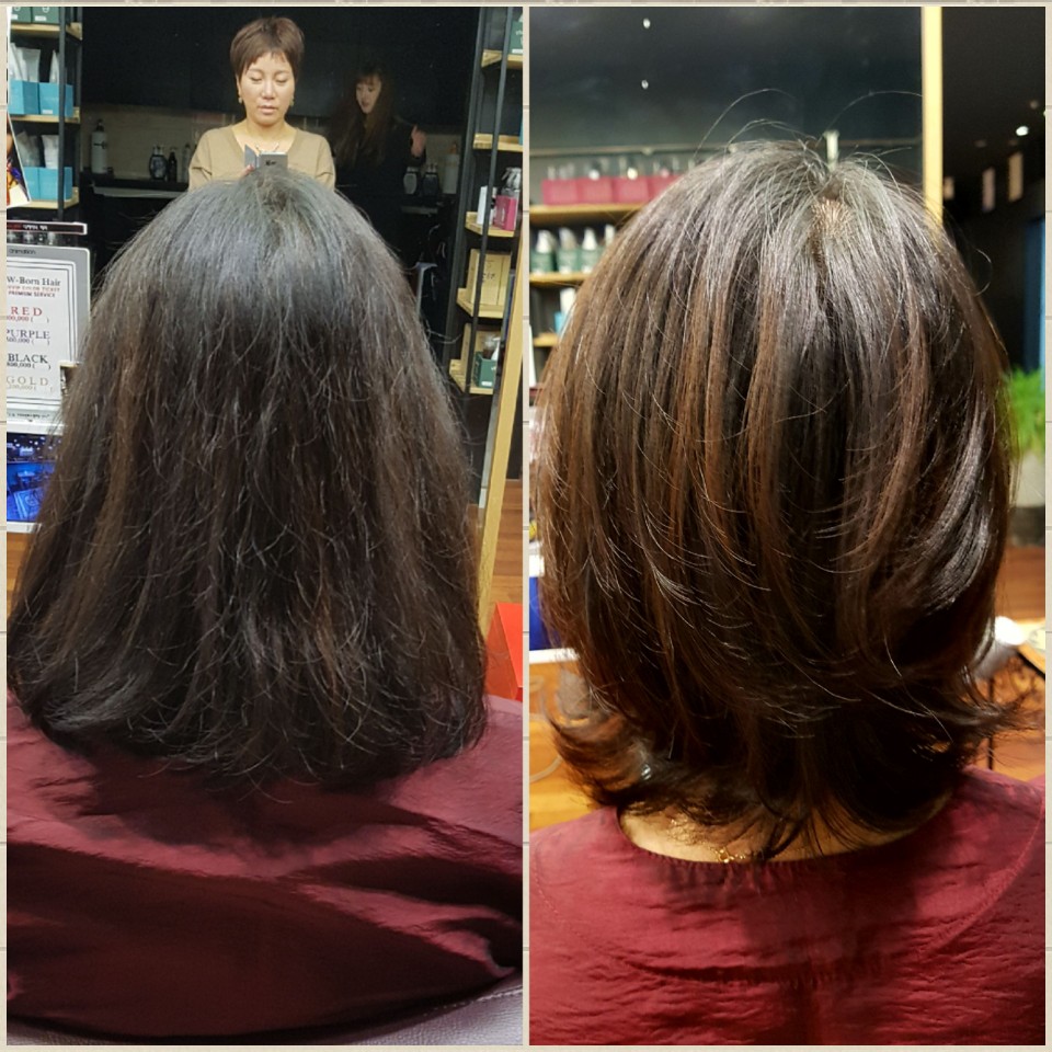 더블유본헤어 이미지