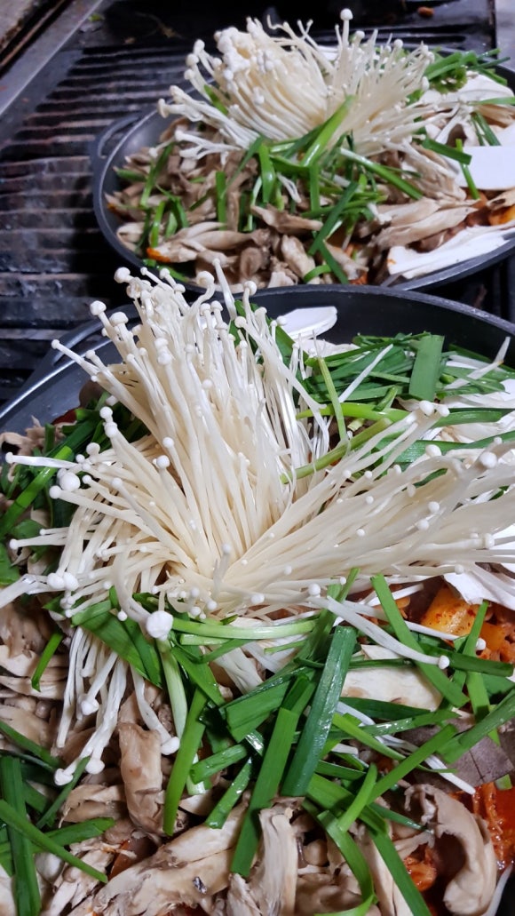감동생오리 이미지