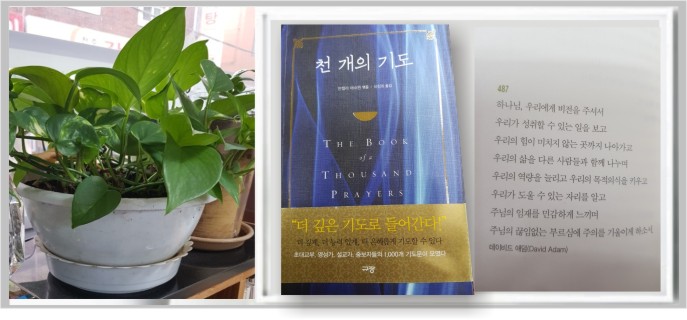 번영인쇄 이미지