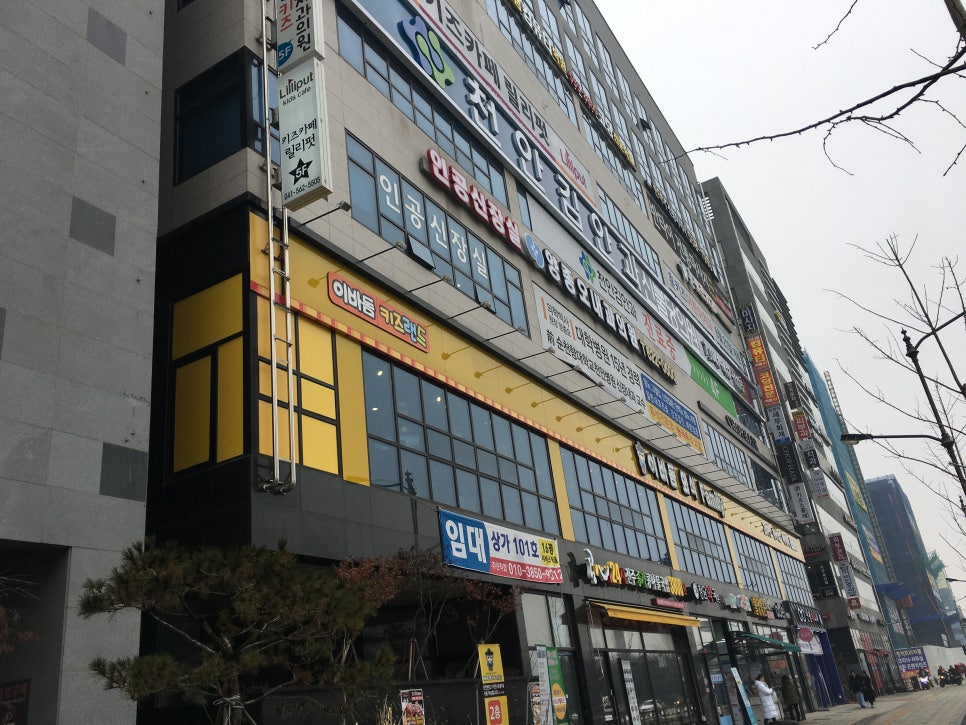 천안김안과신불당의원 이미지