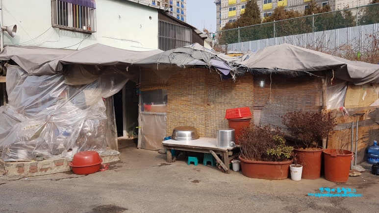 장미손칼국수 이미지