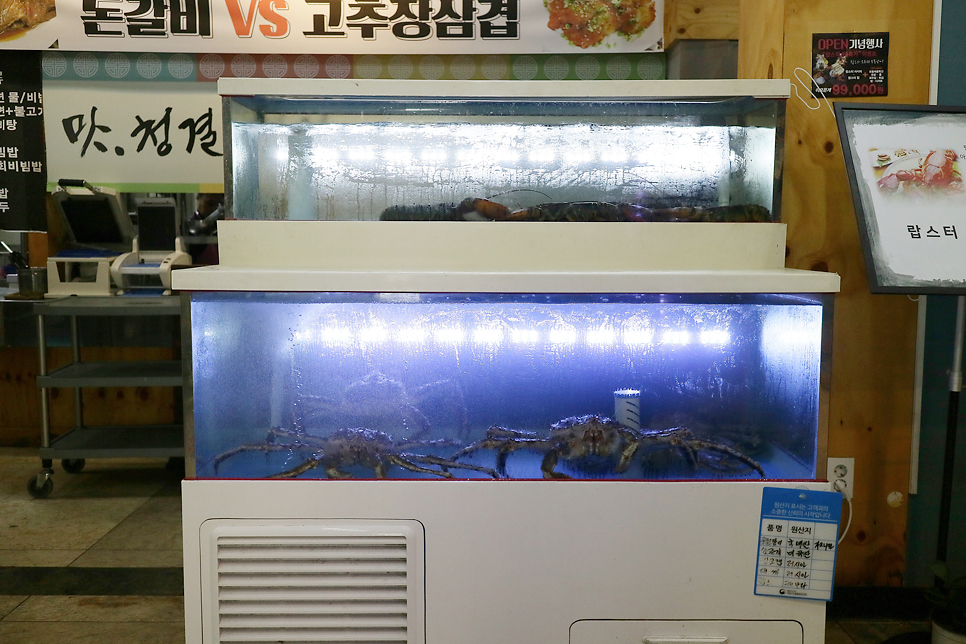 백운정소와장어 이미지