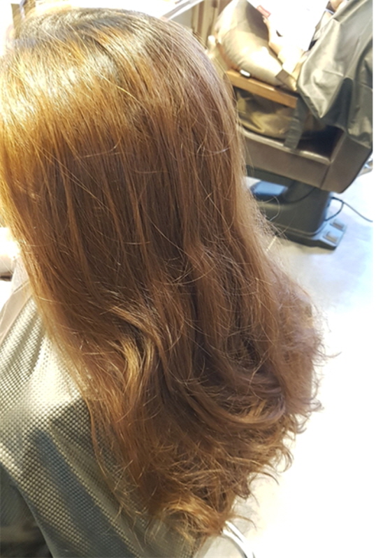 살롱드스텔라 이미지