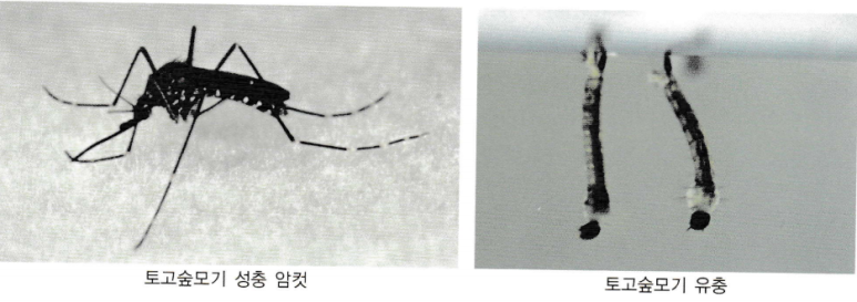 중앙방역공사 이미지
