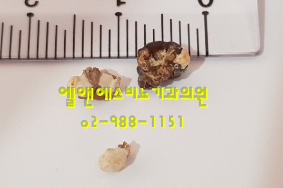 성모비뇨기과의원 이미지
