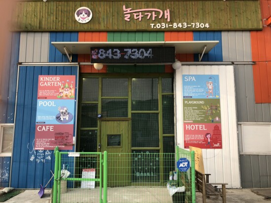놀다가개 이미지