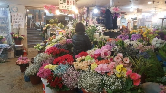 백악관관광나이트 이미지