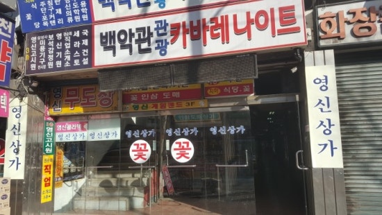 백악관관광나이트 이미지