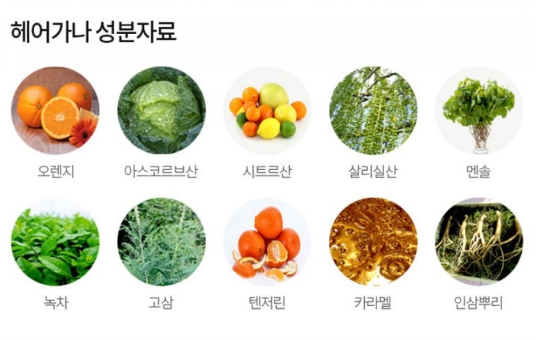 헤어가나 이미지