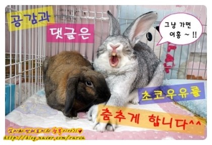 가베향 이미지