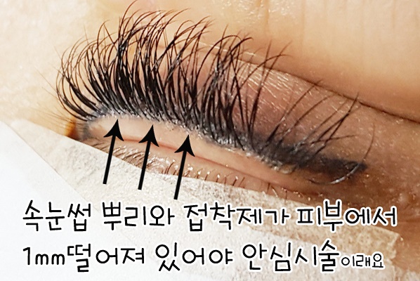 라보떼 이미지