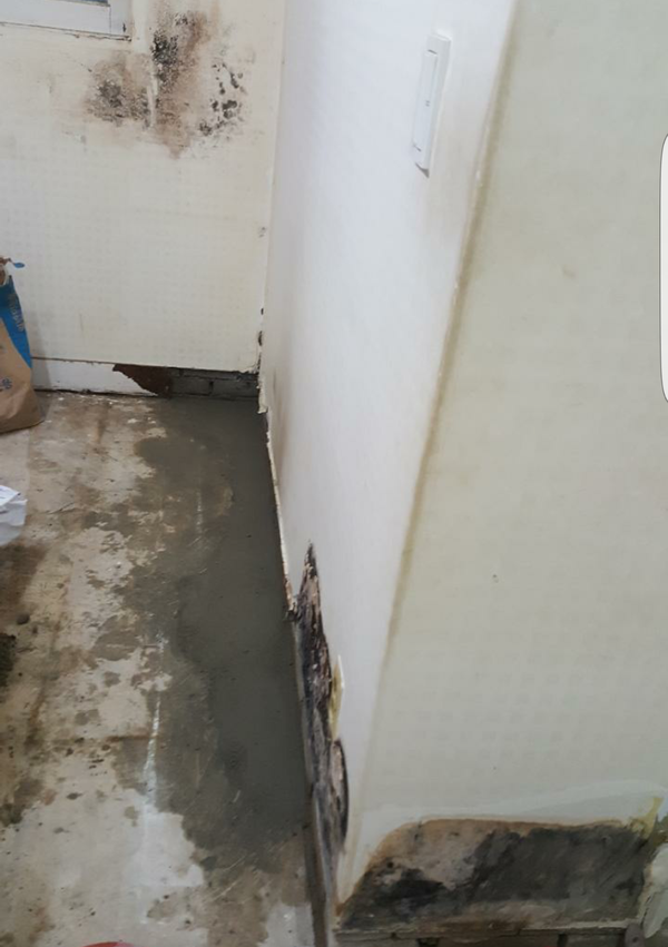조은ENG 이미지