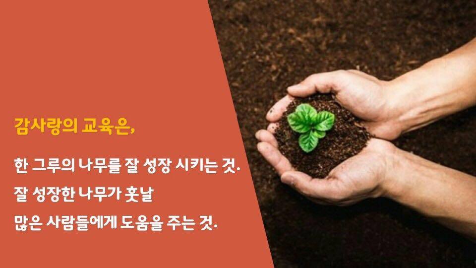 점핑클럽줄넘기 이미지