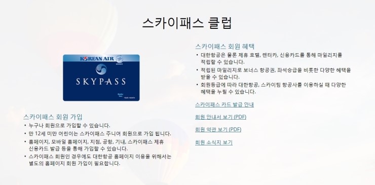 대한스카이 이미지