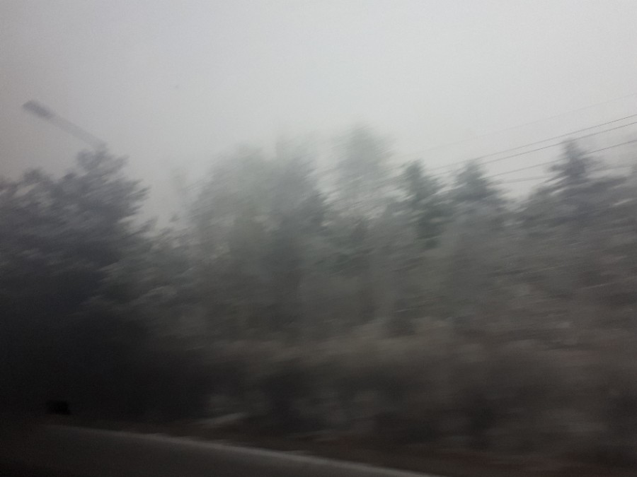 (주)세이프통상 이미지