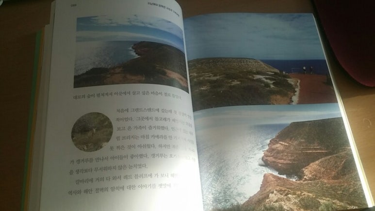 미키멍키 이미지