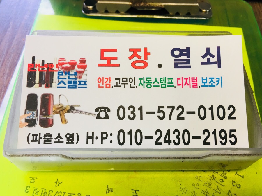 양지수선 이미지