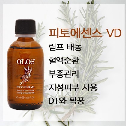 에스테틱 신화 이미지