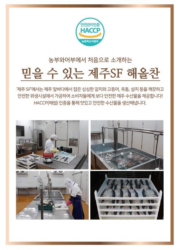 제주에스에프영어조합법인 이미지