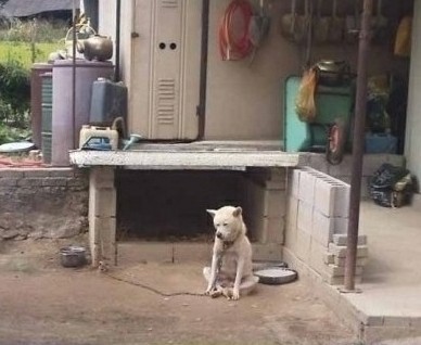 금수저은수저 이미지