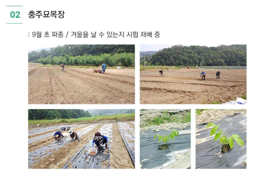 황금농장 이미지