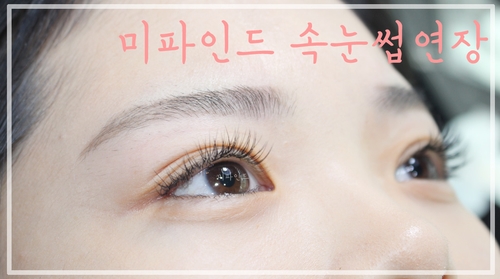 미파인드 이미지