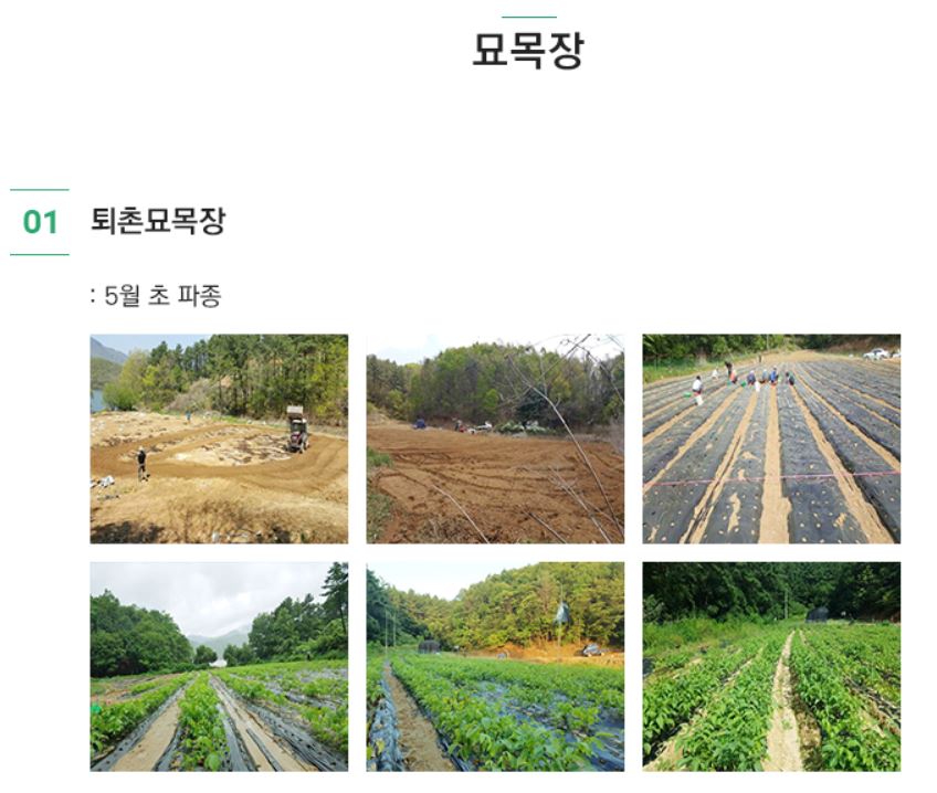 황금농장 이미지