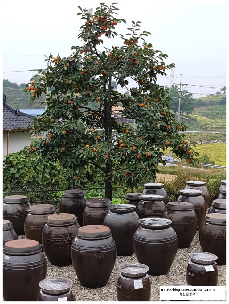 사계절장독대 이미지