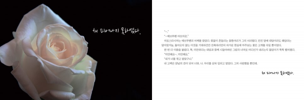 엘아인 이미지